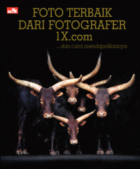 FOTO TERBAIK DARI FOTOGRAFER I X.com, dan cara mendapatkannya